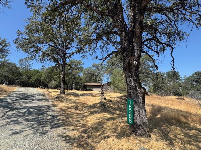 18288 Mountaintop Lane Grass Valley, CA 95949 - Photo 2 of 40 a backyard of a house with large trees