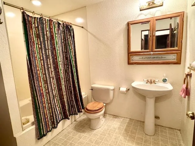 a bathroom with a sink a toilet and shower curtain