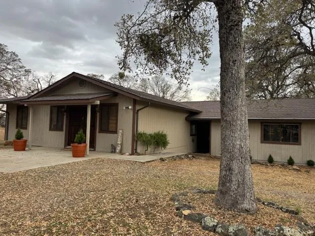 a view of outdoor space and trees