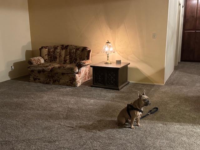 18288 Mountaintop Lane Grass Valley, CA 95949 - Photo 6 of 40 a living room with furniture