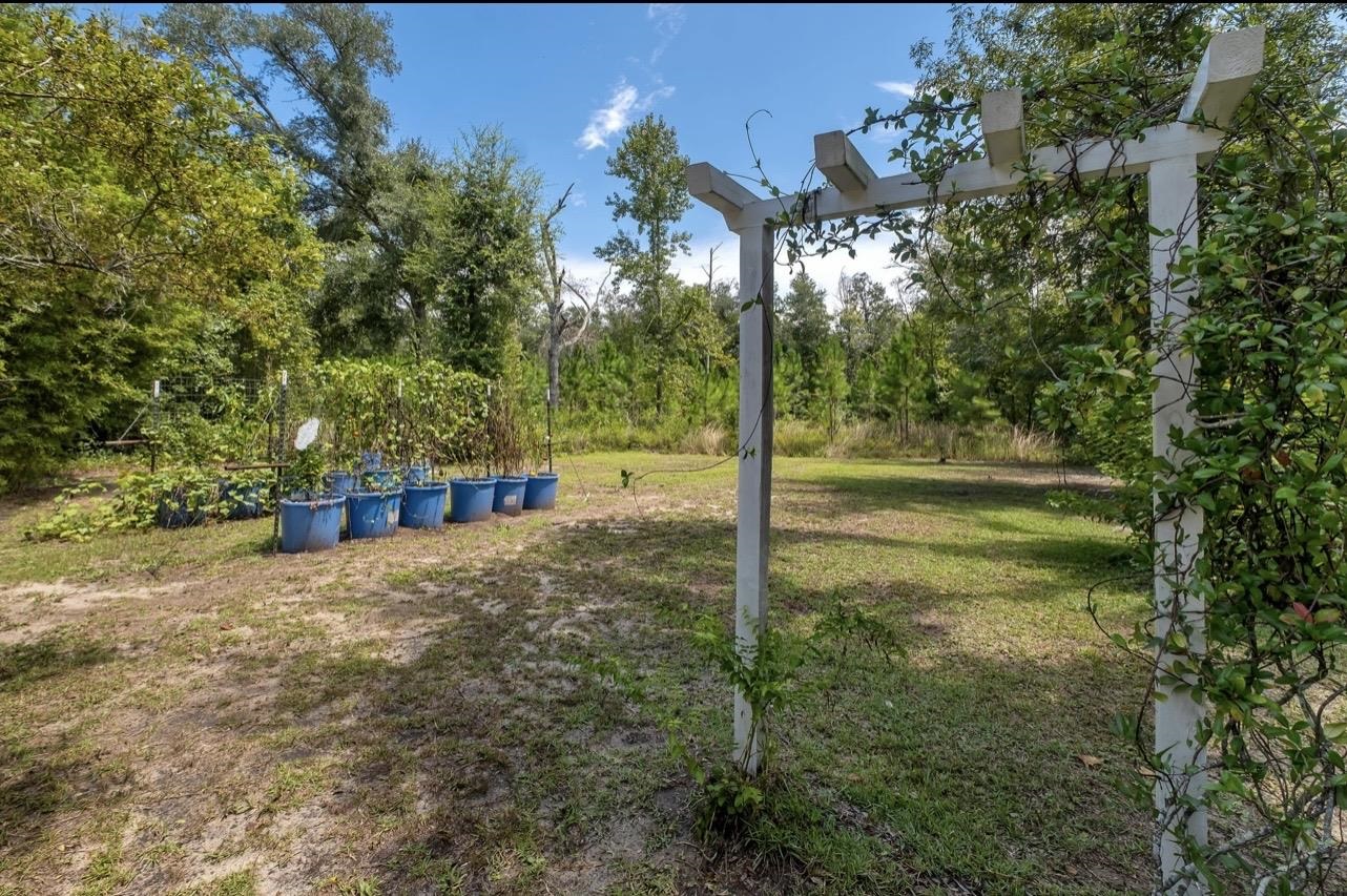 8690 Highway 19 Perry, FL 32348 - Photo 24 of 48 Gallery Image 24