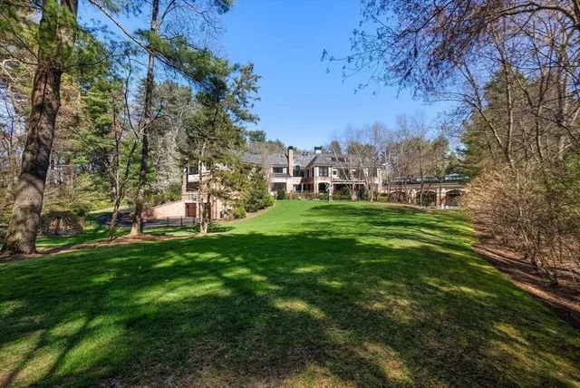 a view of a park with large trees