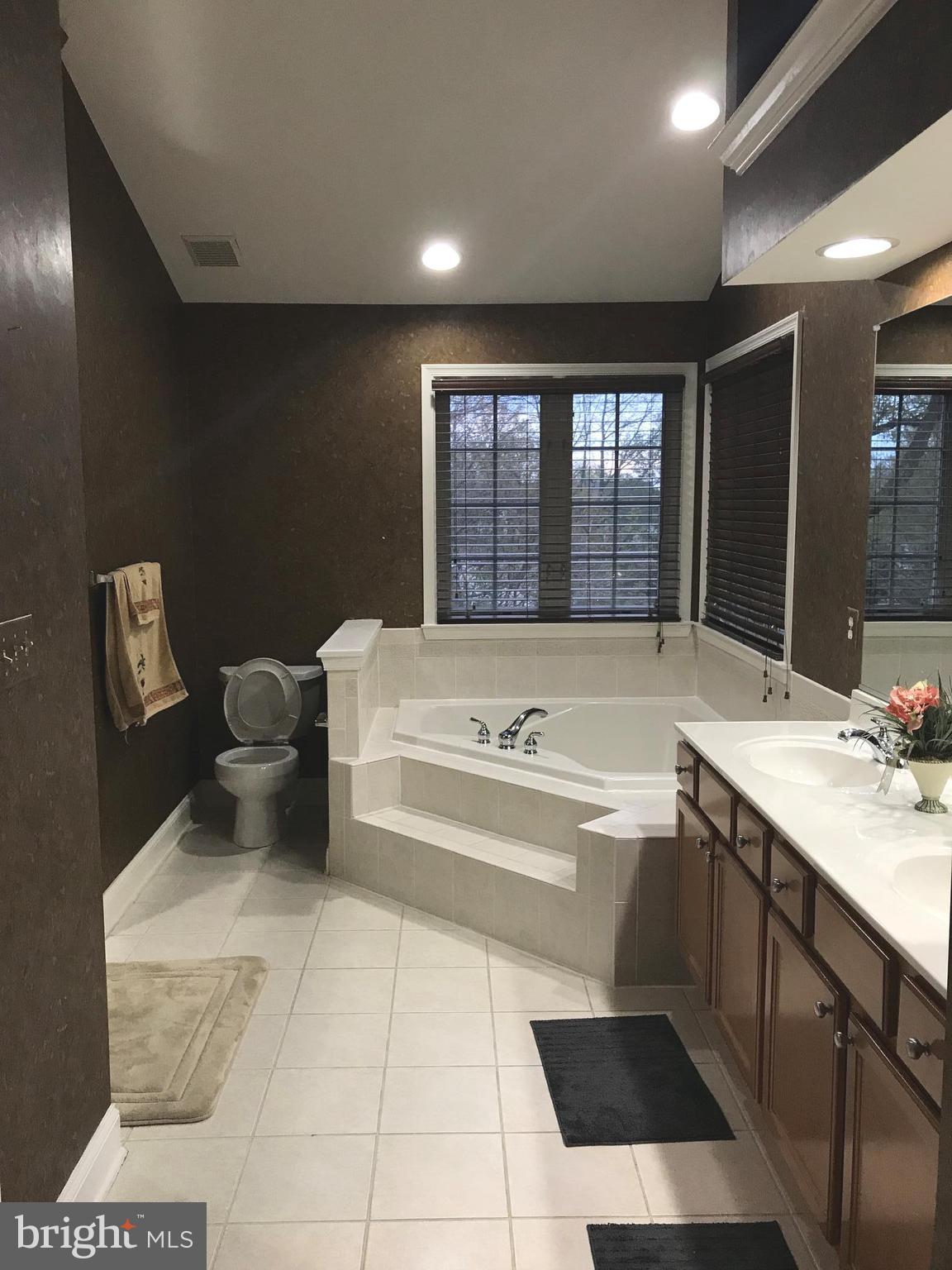 6602 Aaron Mee Way Baltimore, MD 21237 - Photo 20 of 30 a bathroom with a bathtub sink and toilet