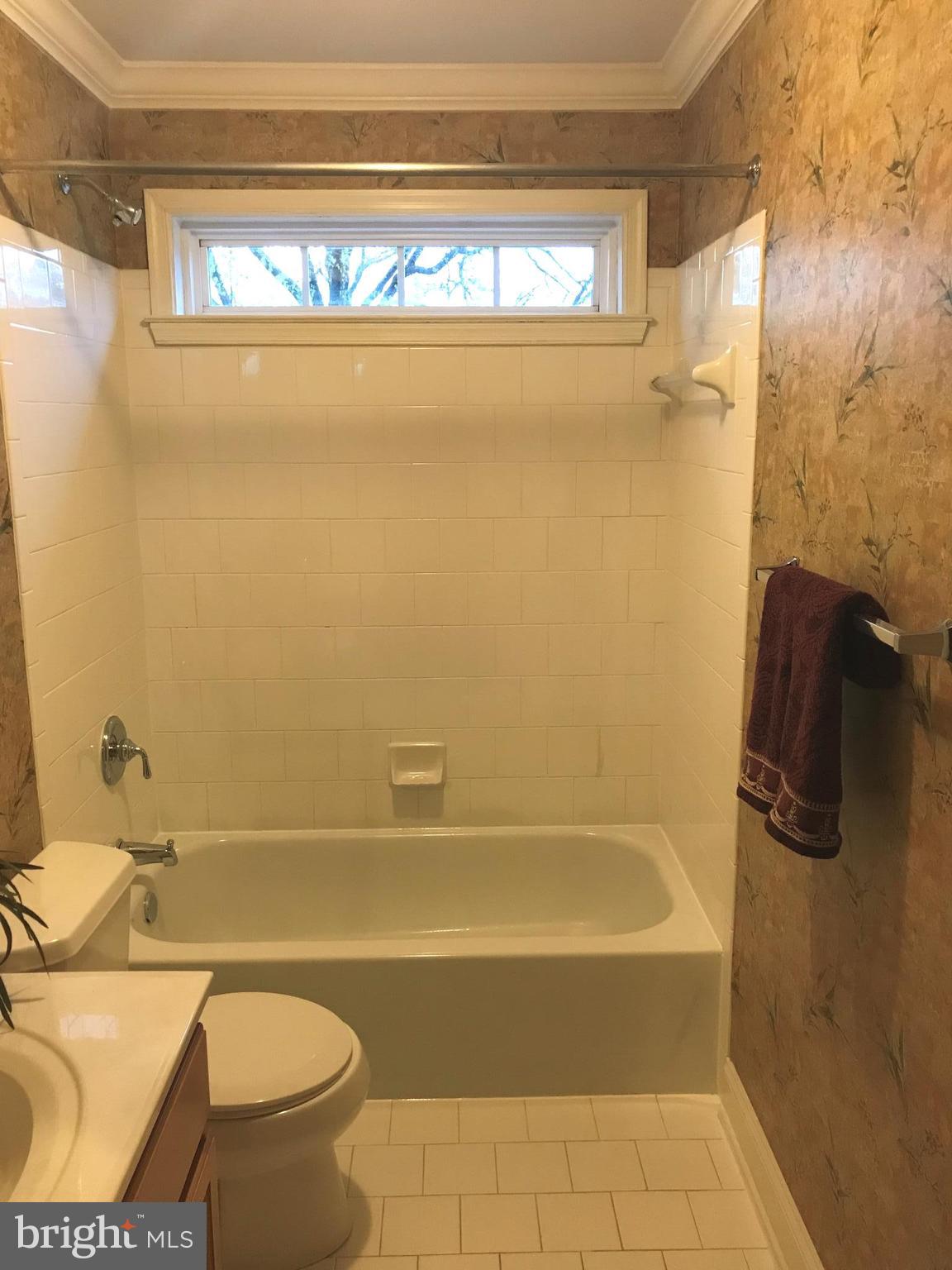 6602 Aaron Mee Way Baltimore, MD 21237 - Photo 22 of 30 a bathroom with a sink a toilet and shower