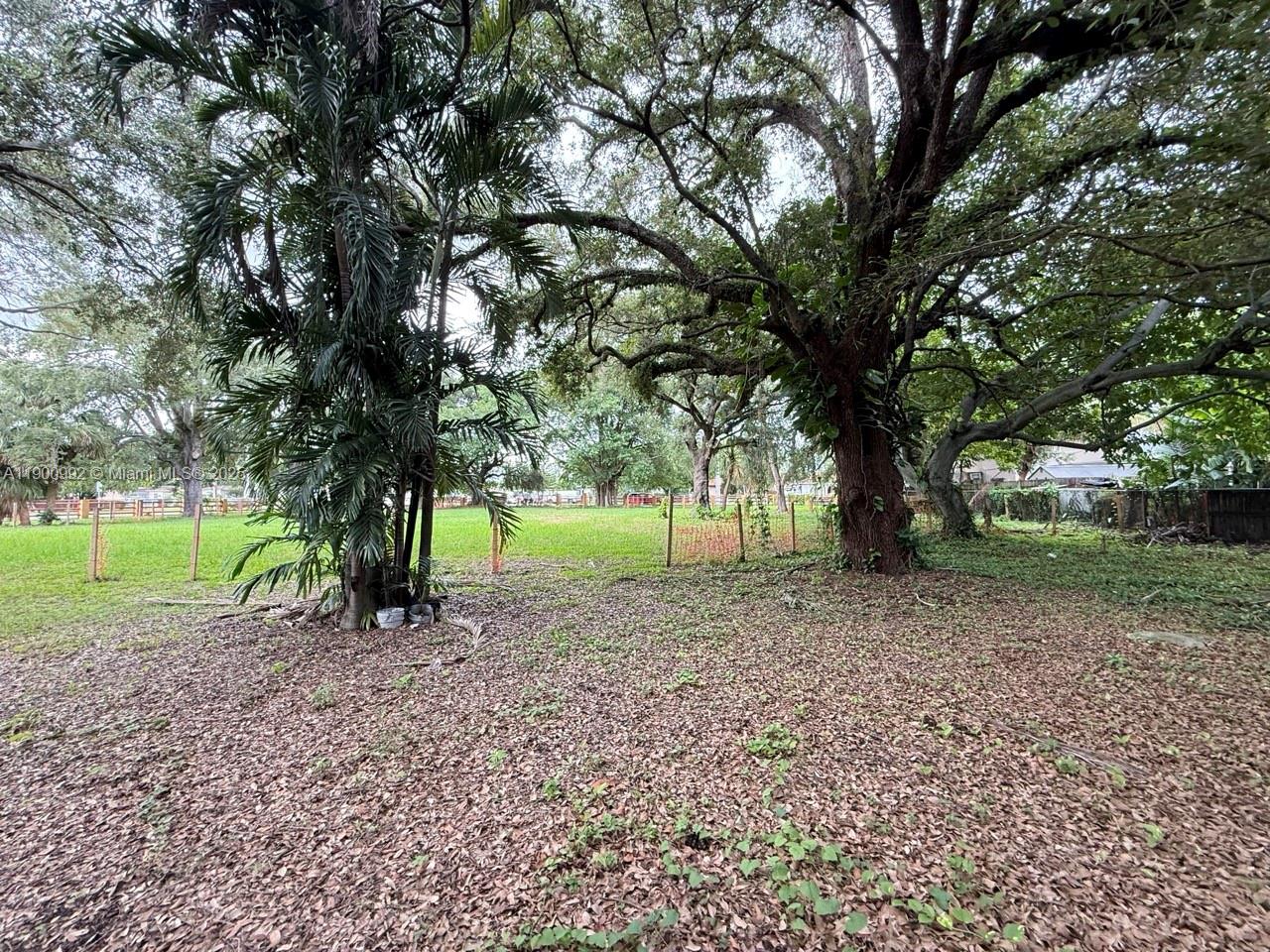 2810 Northwest 14th Street Miami, FL 33125 - Photo 11 of 16 a view of a yard with tree s