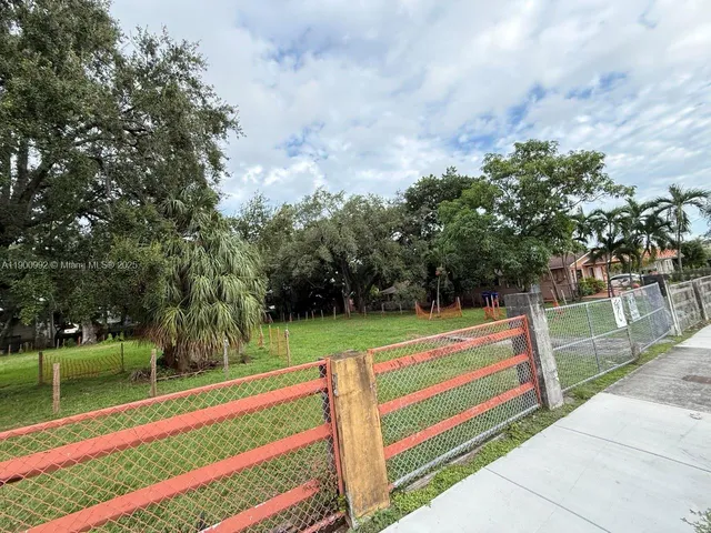 a view of a park with large trees
