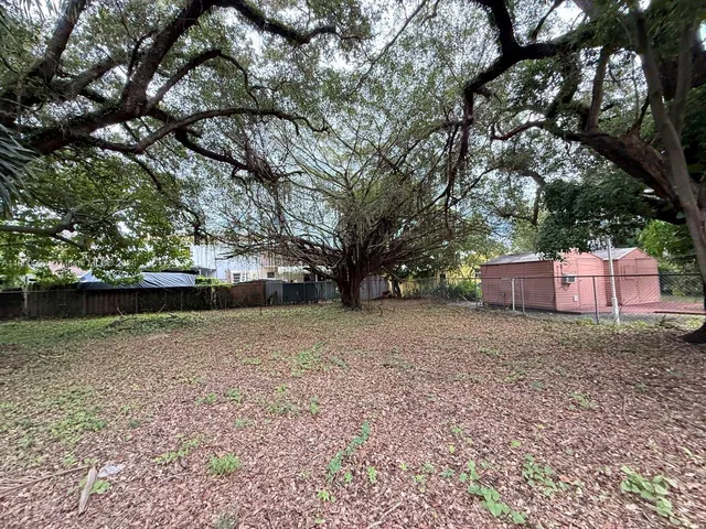 a view of a yard with tree s
