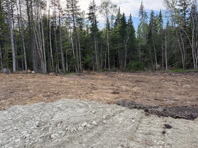 Lot 56 Faraway Road Dalton, NH 03598 - Photo 4 of 7