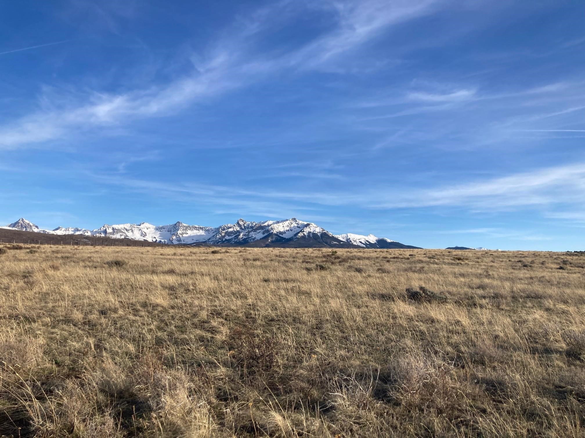 13 County Road Ridgway, CO 81432 - Photo 12 of 19 Gallery Image 12