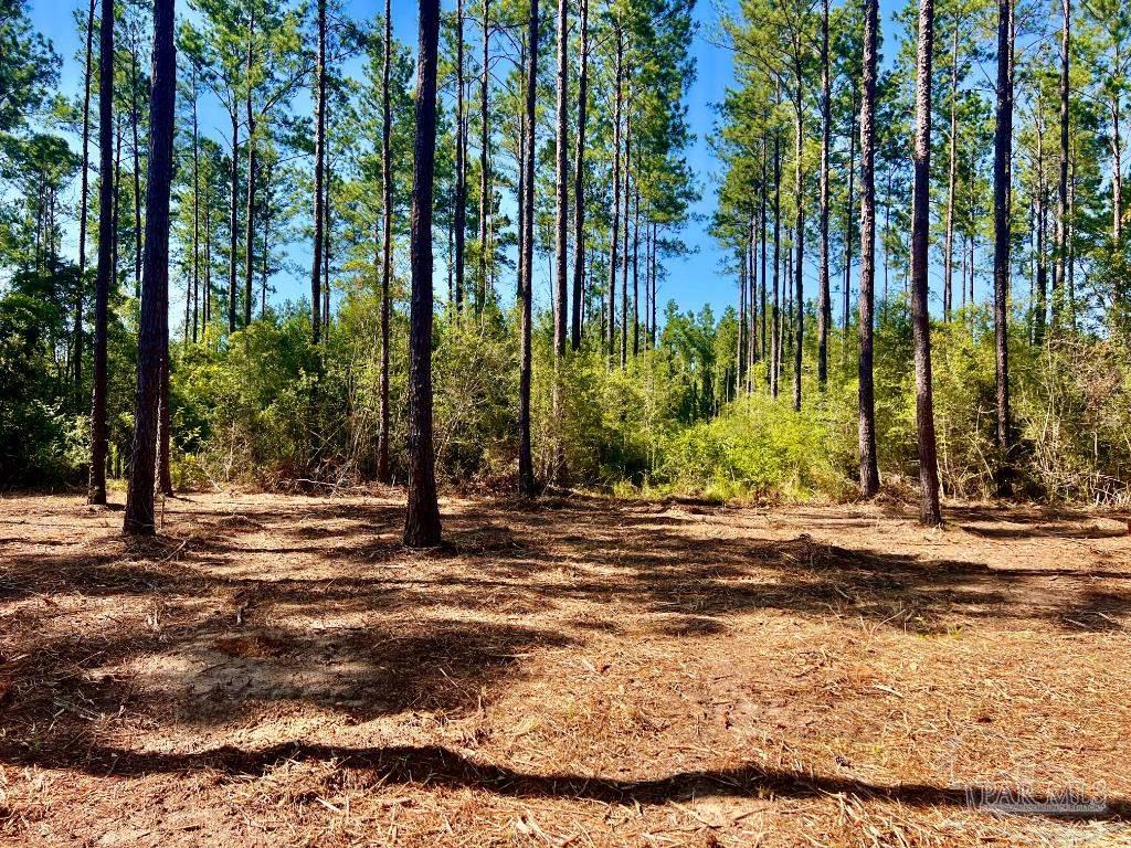 Lot 92 Turning Leaf Road Pace, FL 32571 - Photo 10 of 34