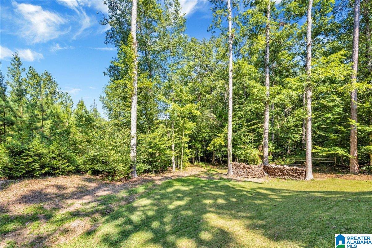 401 North Highland Ridge Lane Chelsea, AL 35043 - Photo 47 of 57