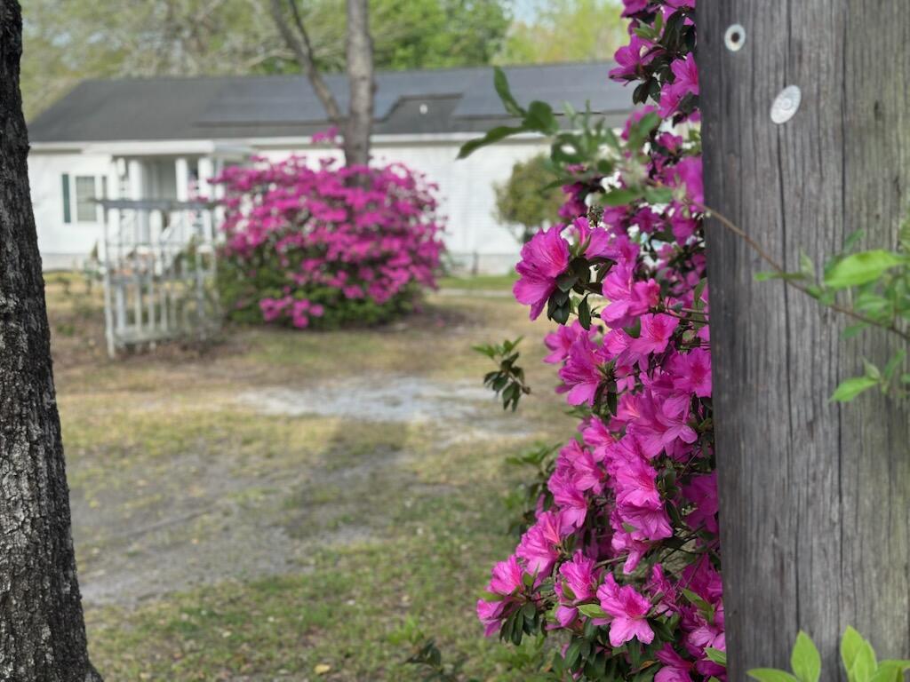 3378 Von Ohsen Road Ladson, SC 29485 - Photo 8 of 40 IMG_7484
