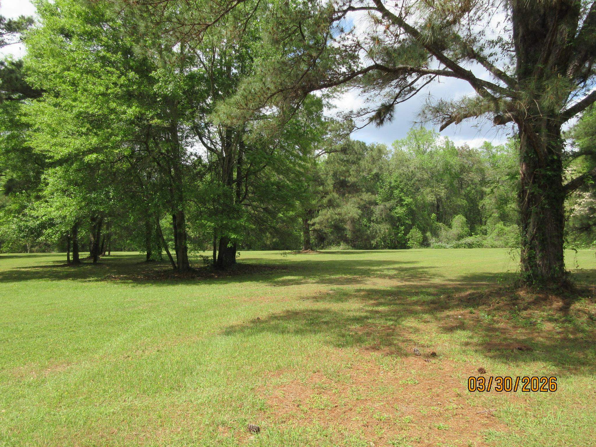 1882 Baum Road Tallahassee, FL 32317 - Photo 12 of 16 Gallery Image 12