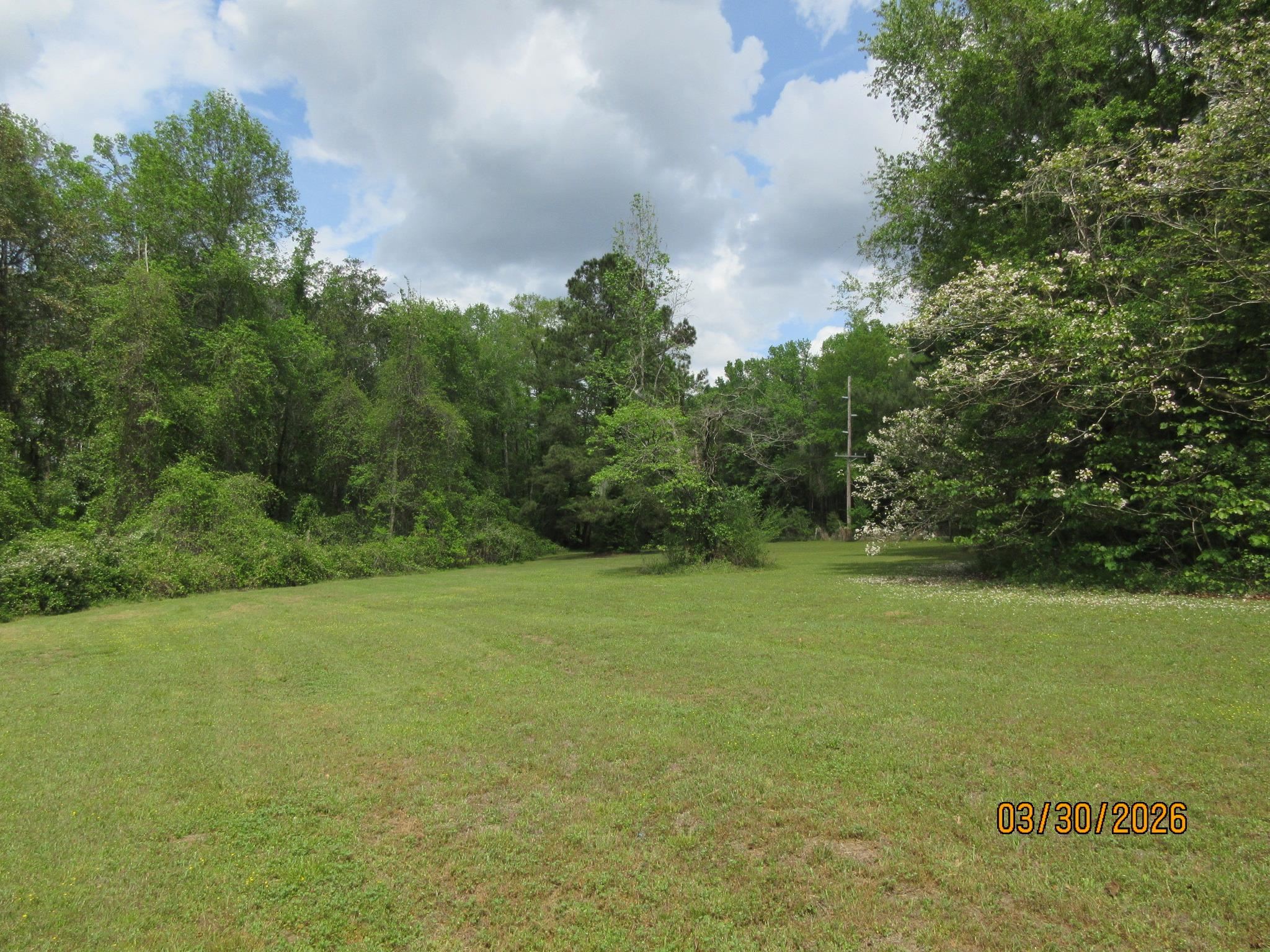 1882 Baum Road Tallahassee, FL 32317 - Photo 14 of 16 Gallery Image 14
