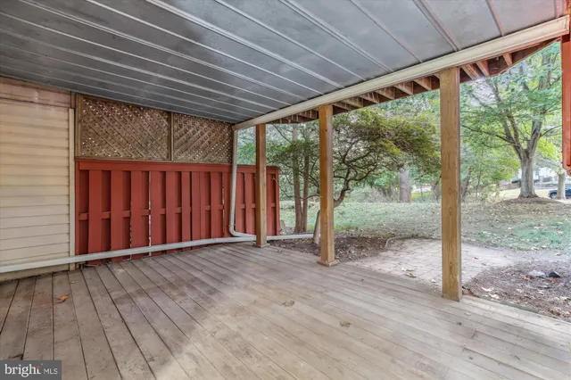 a view of a yard with plants and trees