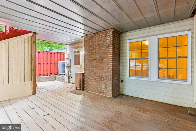 a view of a lush green forest
