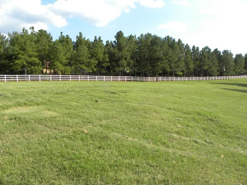 67 Shagbark Road West End, NC 27376 - Photo 3 of 10 Additional Photo