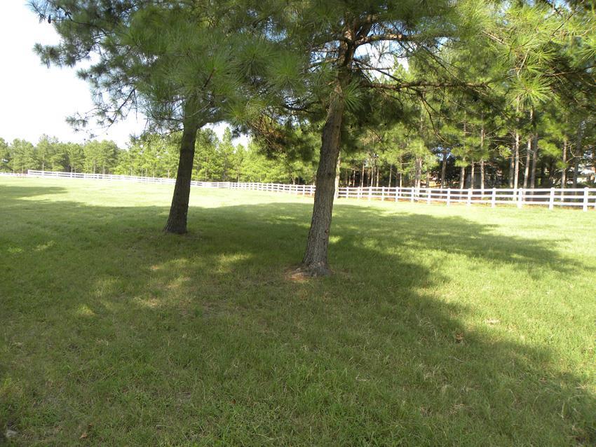 67 Shagbark Road West End, NC 27376 - Photo 8 of 10 Additional Photo