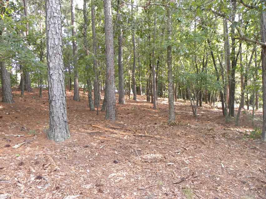 67 Shagbark Road West End, NC 27376 - Photo 10 of 10 Additional Photo