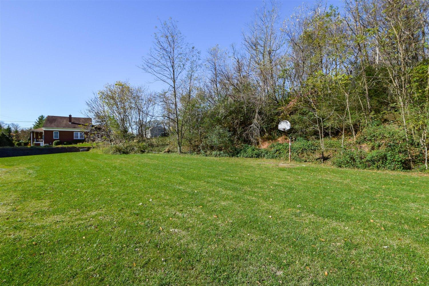 2677 Webster Road Blue Ridge, VA 24064 - Photo 30 of 35 a view of a field of grass and trees