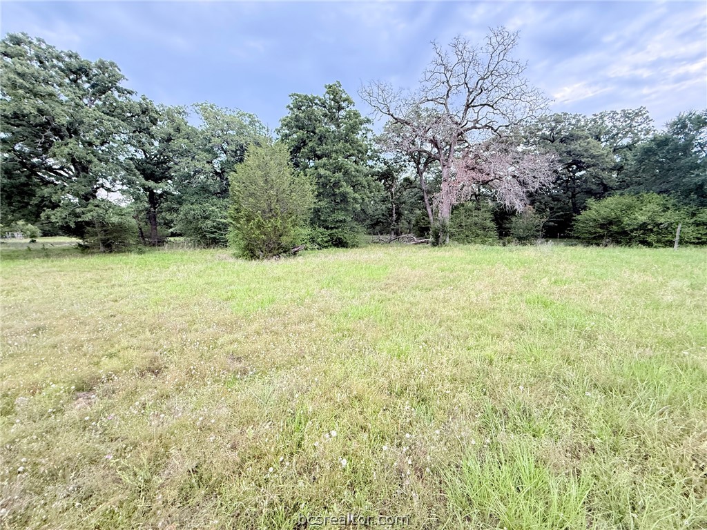 Tbd Wannabe Road Bryan, TX 77808 - Photo 11 of 25 a view of outdoor space and yard