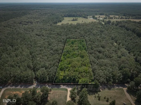 a view of a forest with a yard