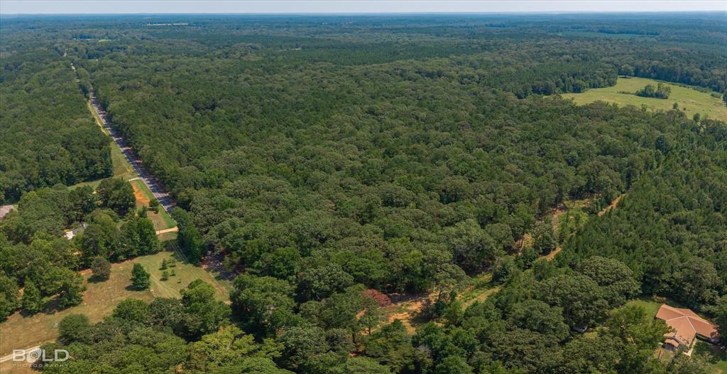 1248 Oliver Road Haughton, LA 71037 - Photo 5 of 7 an aerial view of residential houses with outdoor space and trees