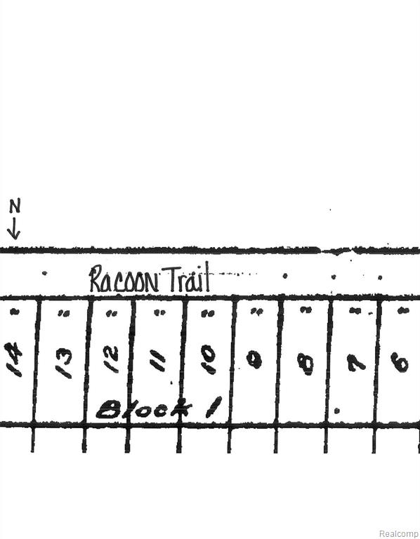 0 Racoon Trail Lincoln, MI 48742 - Photo 2 of 3