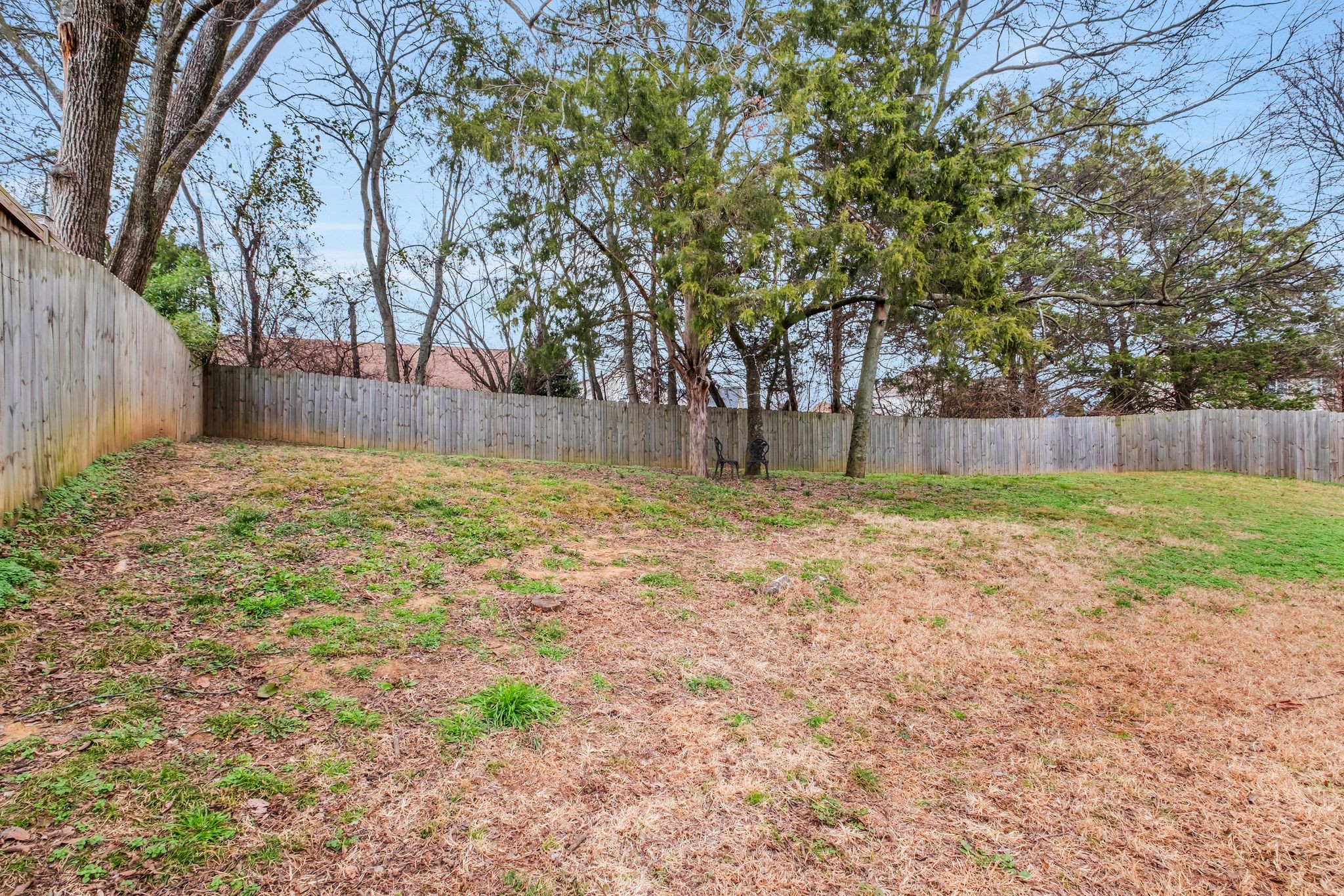 2048 Ransom Place Nashville, TN 37217 - Photo 27 of 30 a view of a yard with a large tree