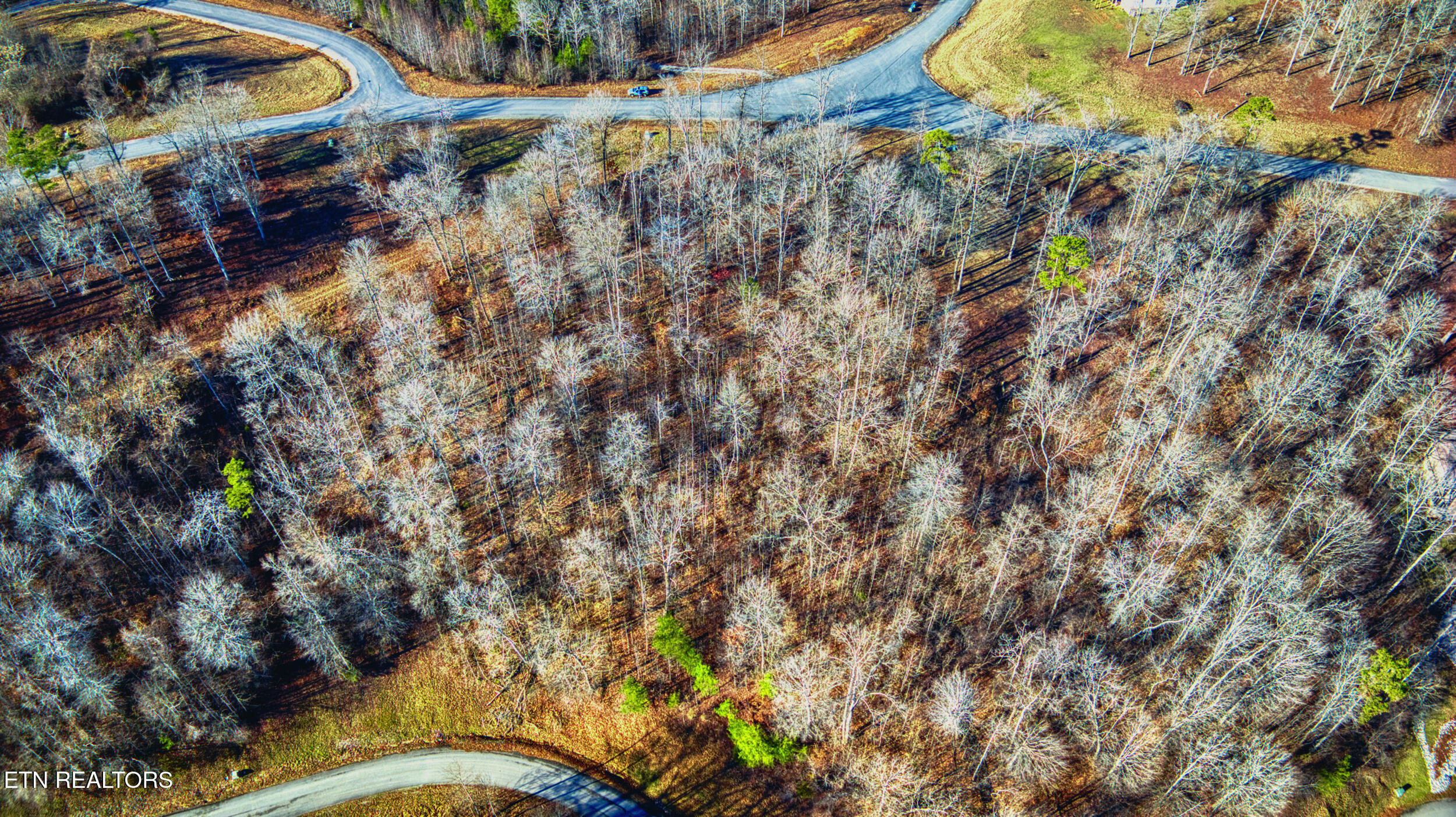 dji_20240111101315_0636_d_hdr