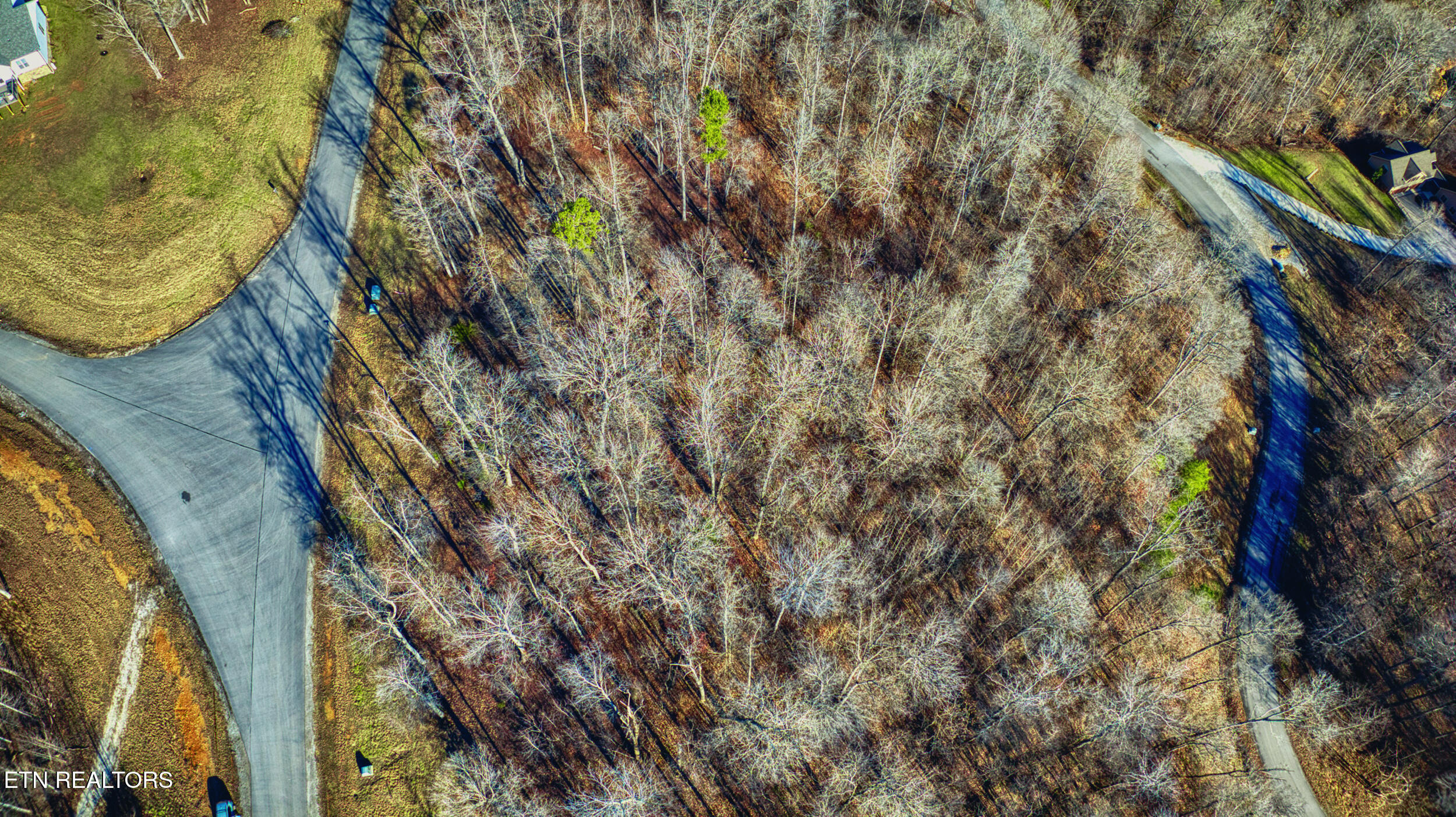 2 Rivers Lane La Follette, TN 37766 - Photo 8 of 21 dji_20240111102129_0662_d_hdr