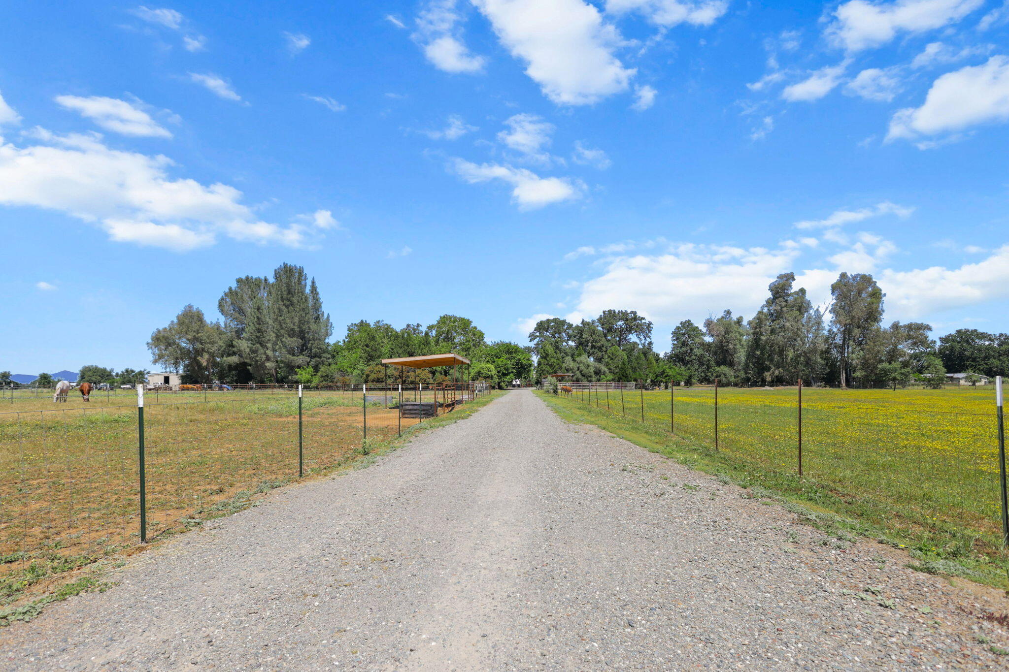 12481 Paskenta Road Red Bluff, CA 96080 - Photo 82 of 82 3-web-or-mls-8Q0A0301