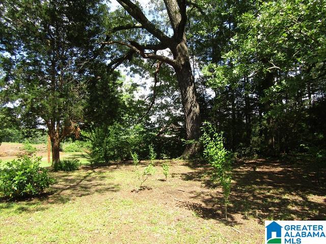 1091 County Road 59 Roanoke, AL 36274 - Photo 24 of 24