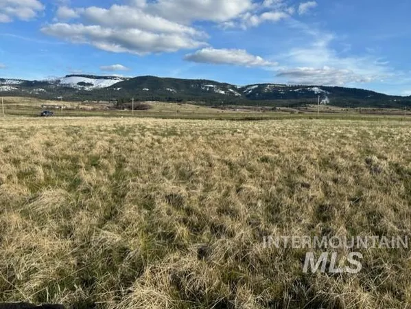 $150,000 | 2 A Whitetail Drive, Grangeville, ID 83530