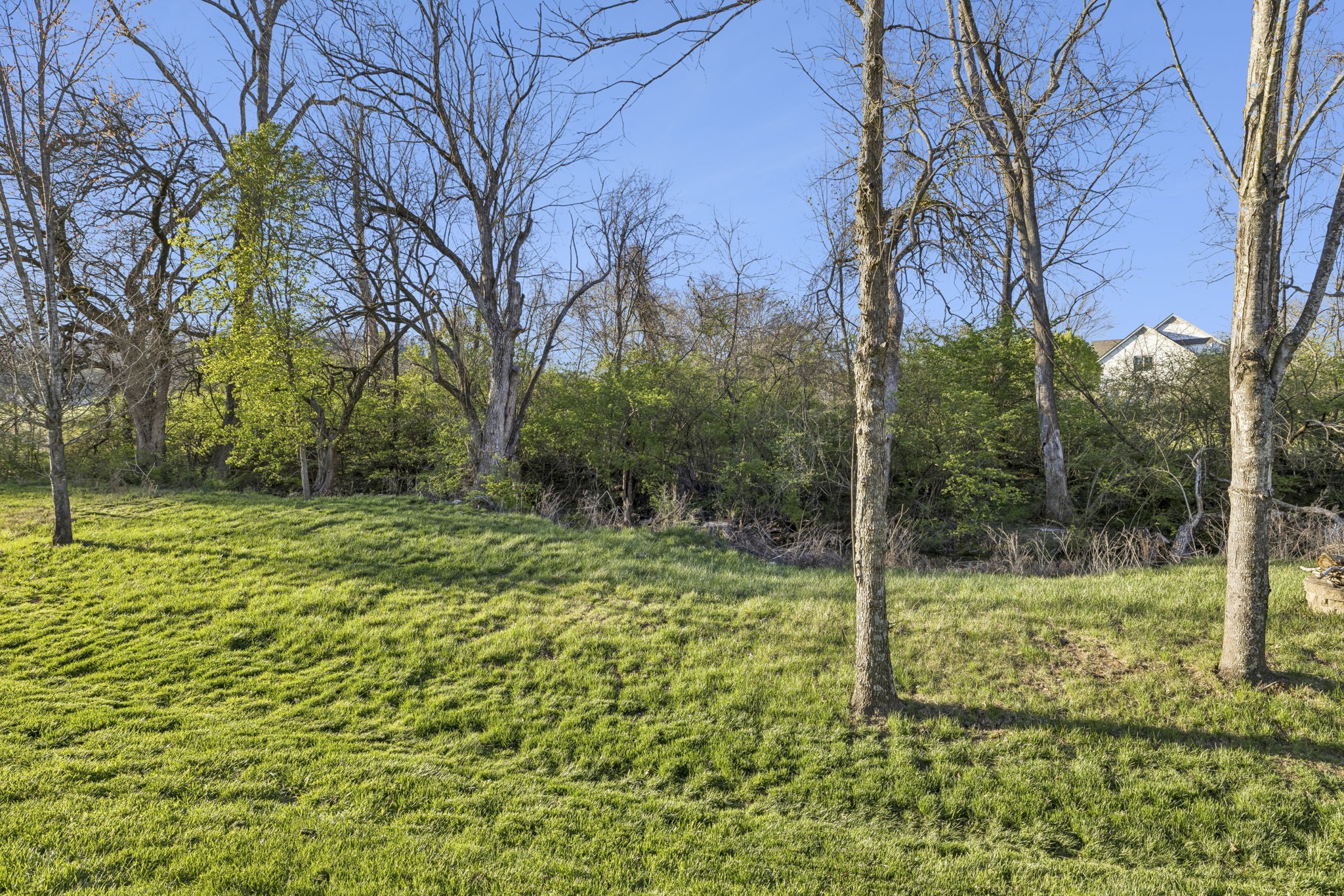 119 Stream Valley Boulevard Franklin, TN 37064 - Photo 78 of 100