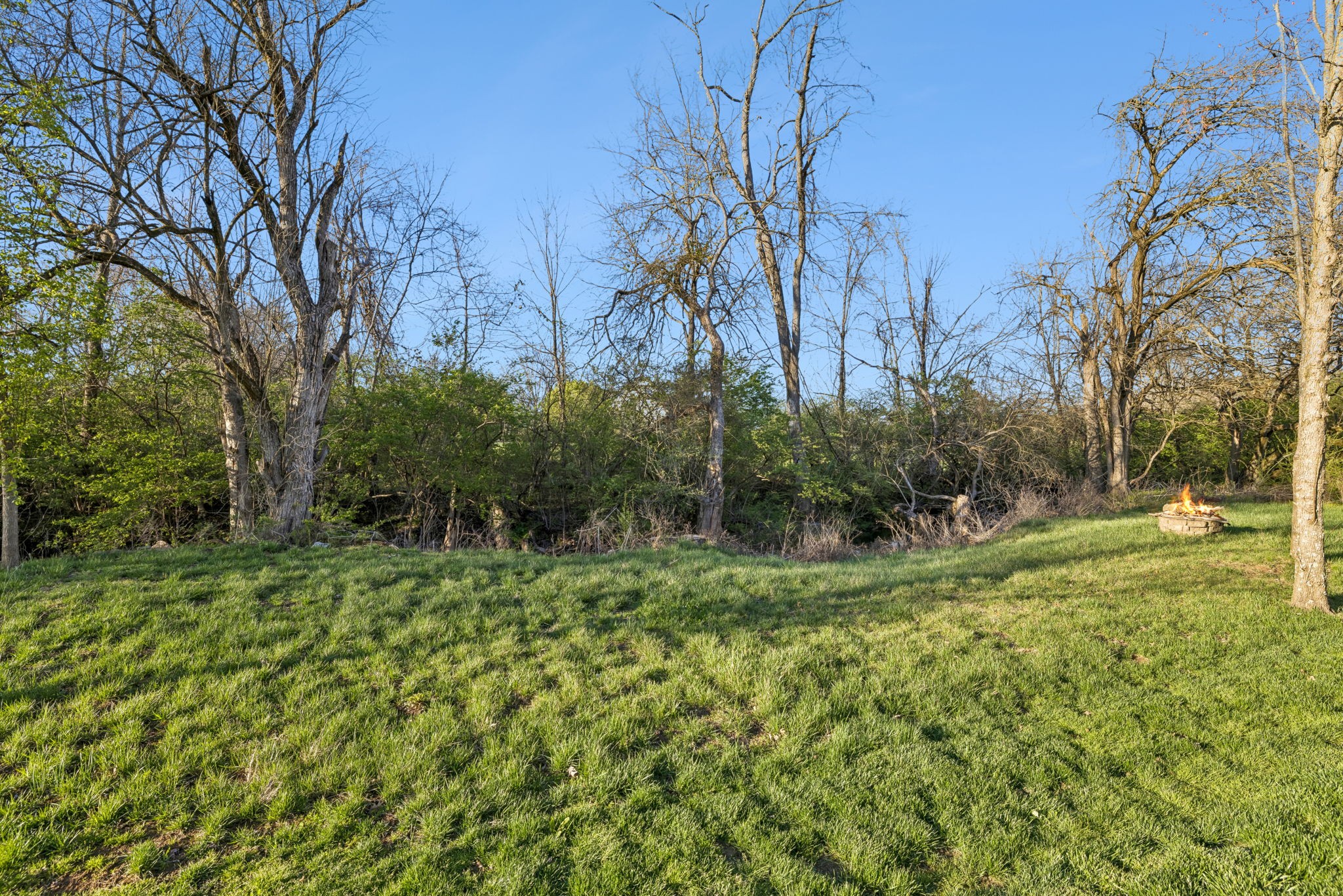 119 Stream Valley Boulevard Franklin, TN 37064 - Photo 83 of 100 a view of a lush green space