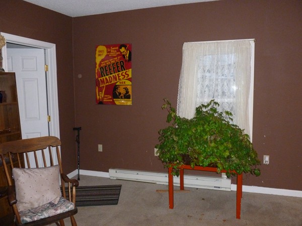 19 Chapel Street Warren, MA 01092 - Photo 15 of 30 a room with furniture and a potted plant