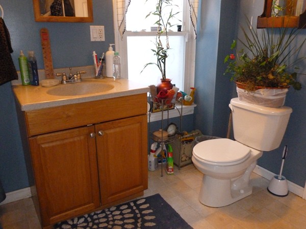 19 Chapel Street Warren, MA 01092 - Photo 7 of 30 a bathroom with a sink toilet and shower