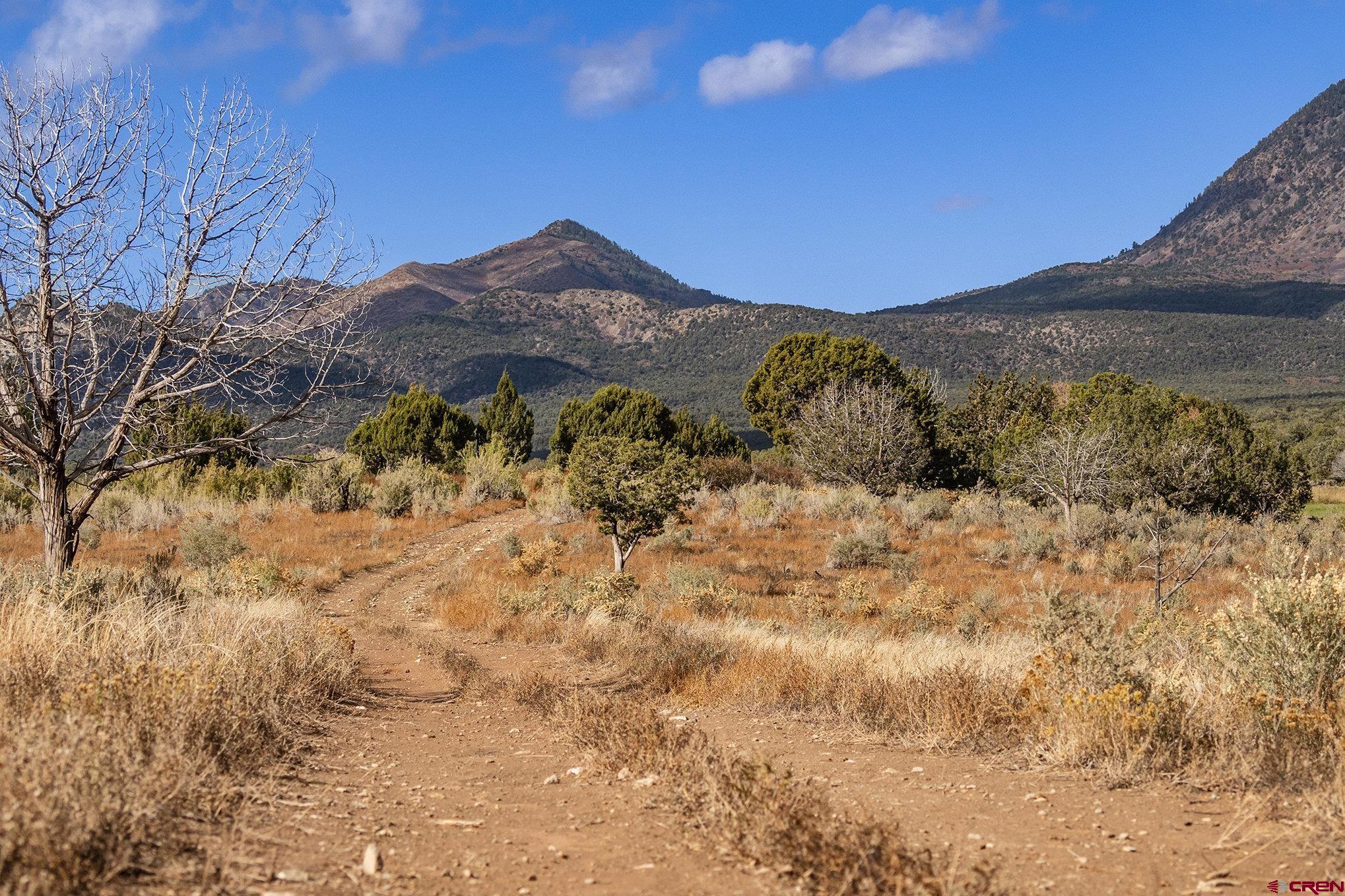 2997 20.5 Road Cortez, CO 81321 - Photo 9 of 27 Gallery Image 9