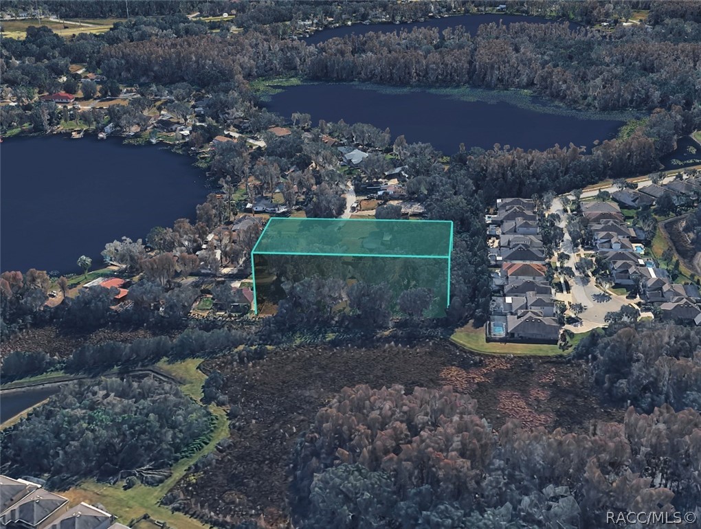 Tbd Blount Road Lutz, FL 33558 - Photo 24 of 33 Gallery Image 24