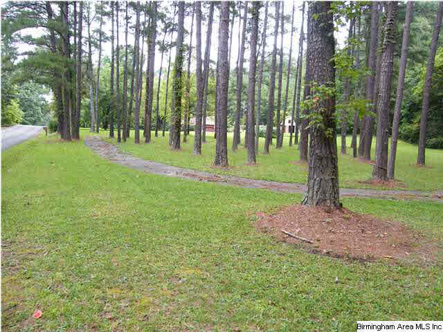 4171 Indian Valley Road Birmingham, AL 35217 - Photo 3 of 29