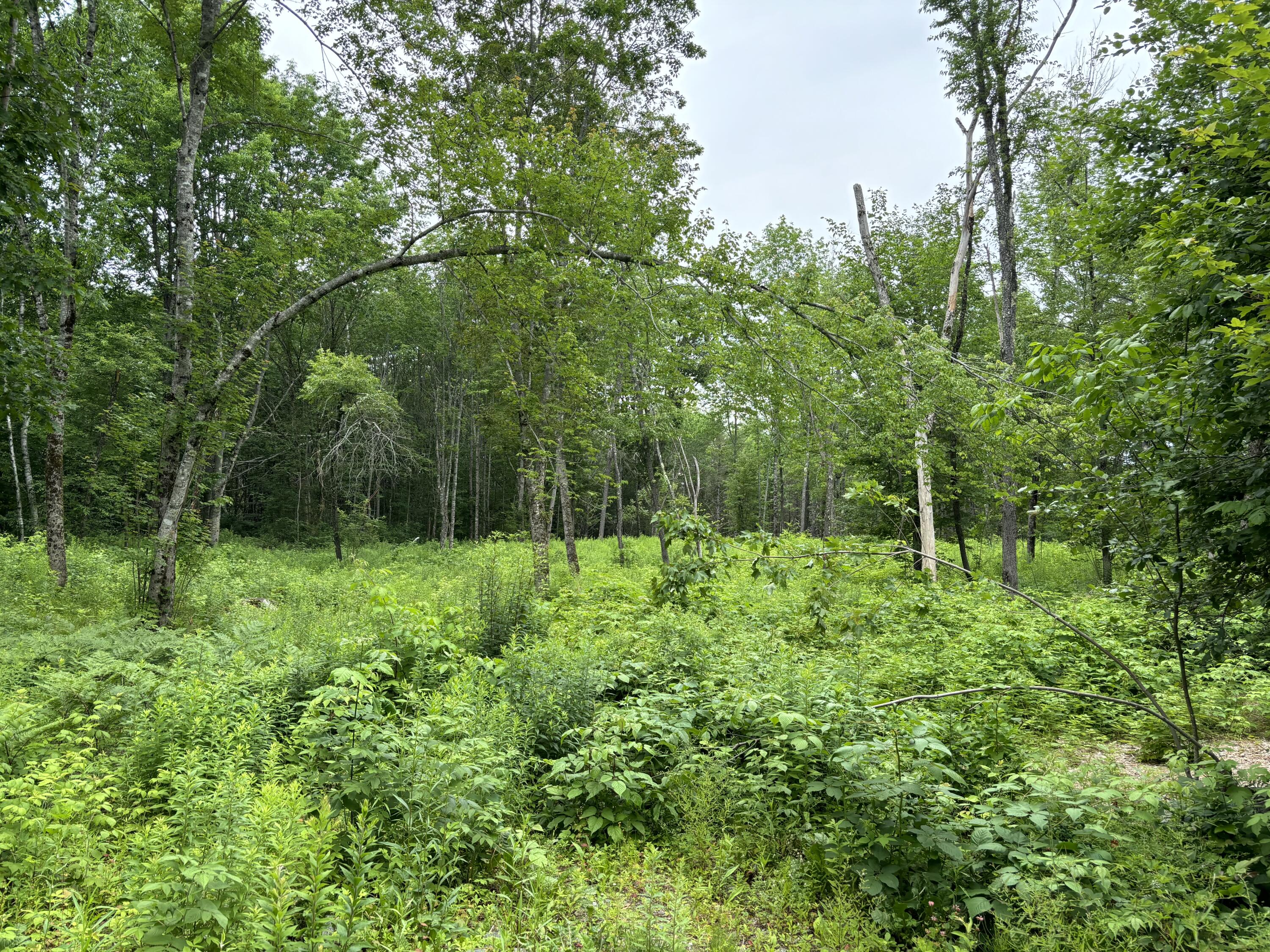 96 West Washington Road Washington, ME 04574 - Photo 1 of 10 IMG_1984