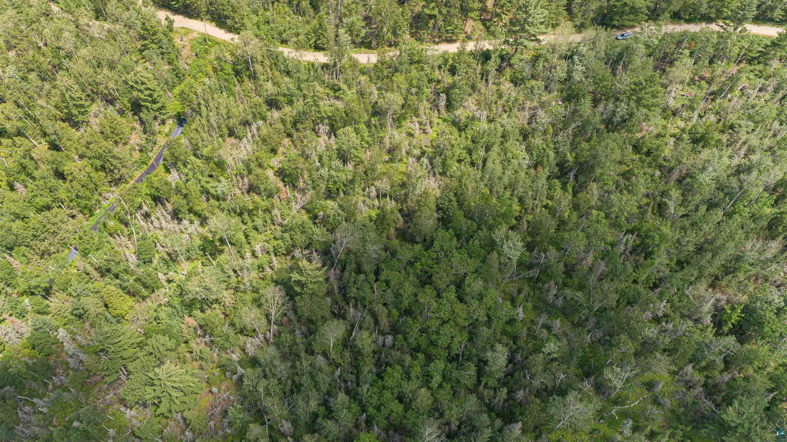 Tbd Burntside Ridge Trail Ely, MN 55731 - Photo 10 of 33 Gallery Image 10