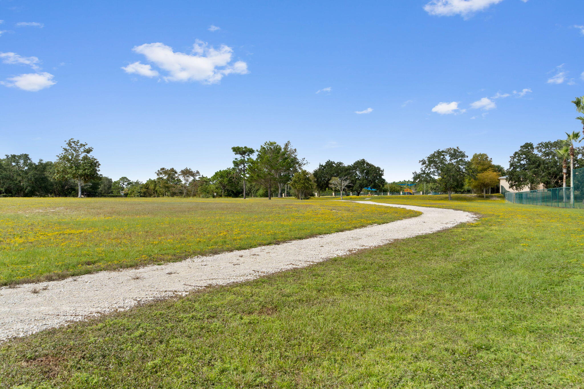 7586 Vinca Street Navarre, FL 32566 - Photo 38 of 44 a view of a house with a big yard and palm trees