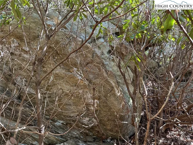 a backyard of a house