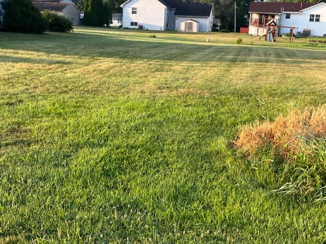 211 Roy Avenue Rochelle, IL 61068 - Photo 1 of 1 a view of a water fountain and a big yard