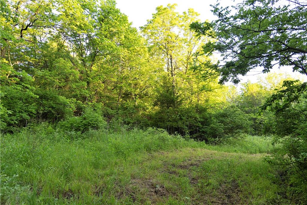 Murray Rd Road Polo, MO 64671 - Photo 39 of 53