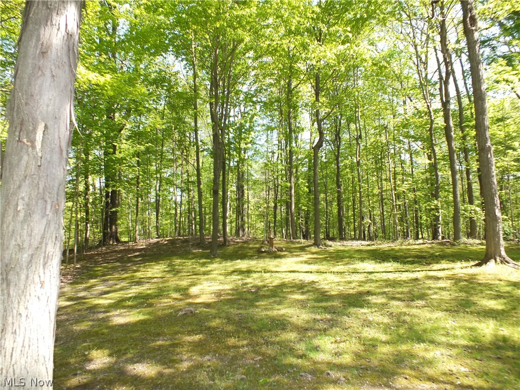 9279 Mentor Road Chardon, OH 44024 - Photo 15 of 35 Gallery Image 15