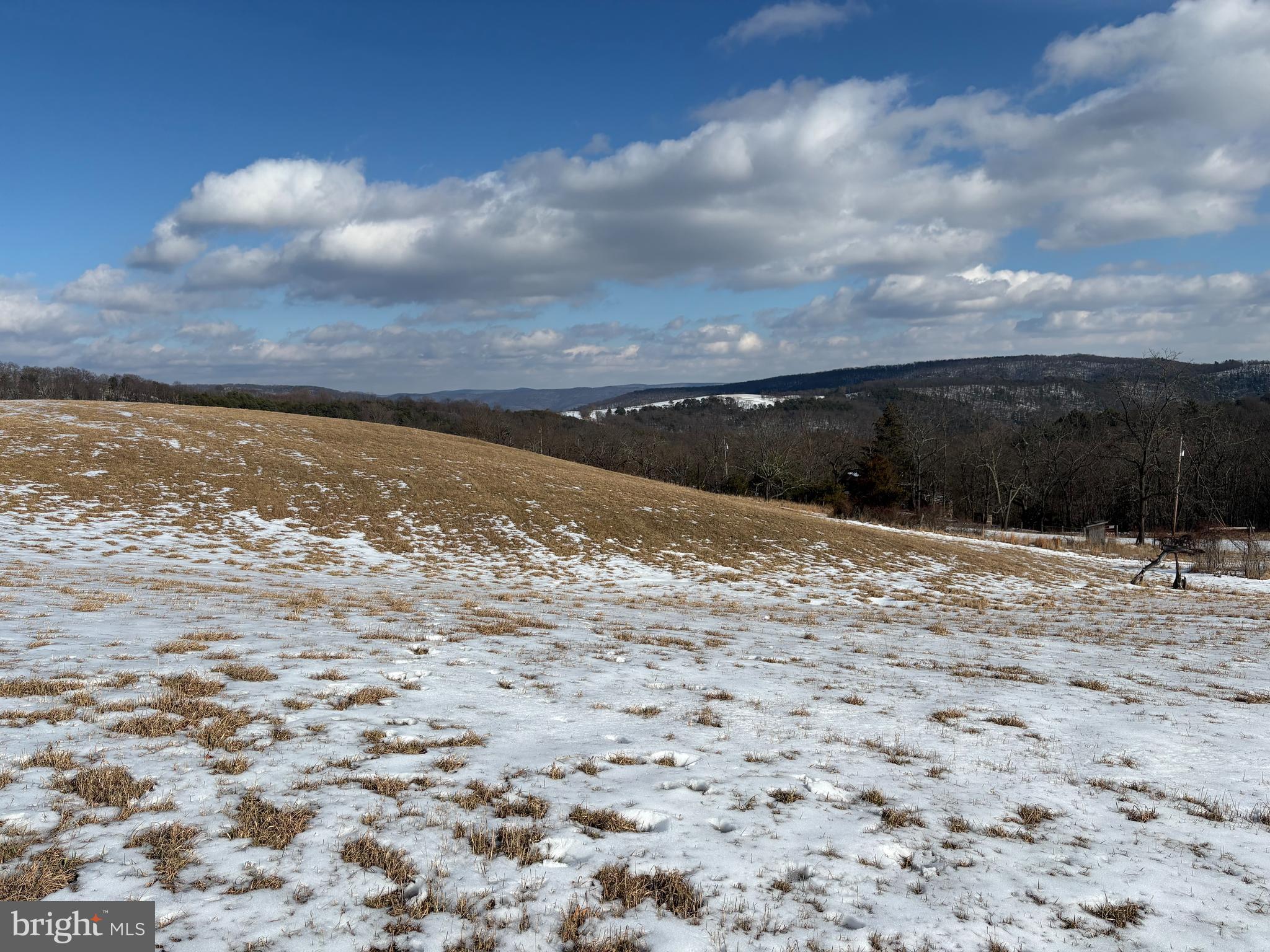 17.55 Shenandoah Mountain Road Moorefield, WV 26836 - Photo 11 of 38
