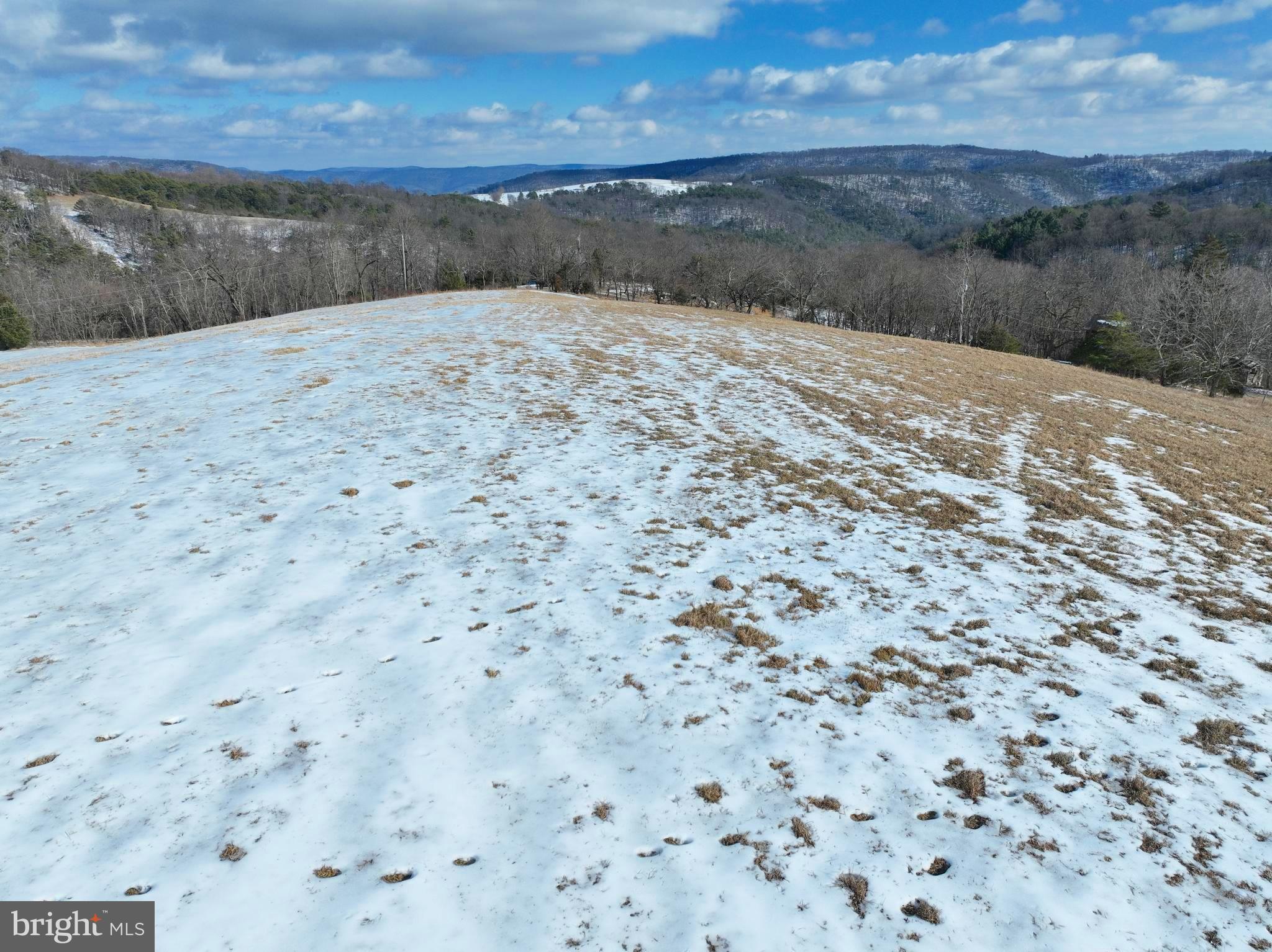 17.55 Shenandoah Mountain Road Moorefield, WV 26836 - Photo 27 of 38 a view of a dry yard